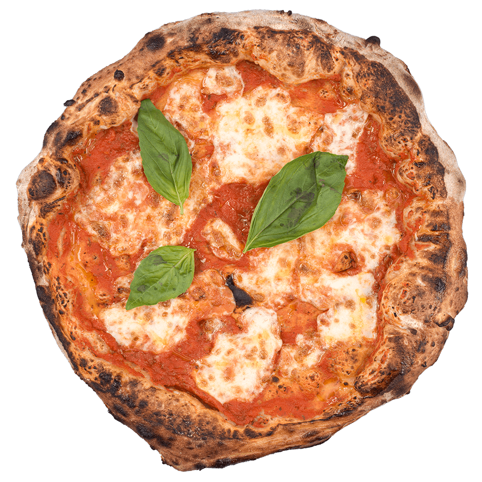 Margherita Pizza