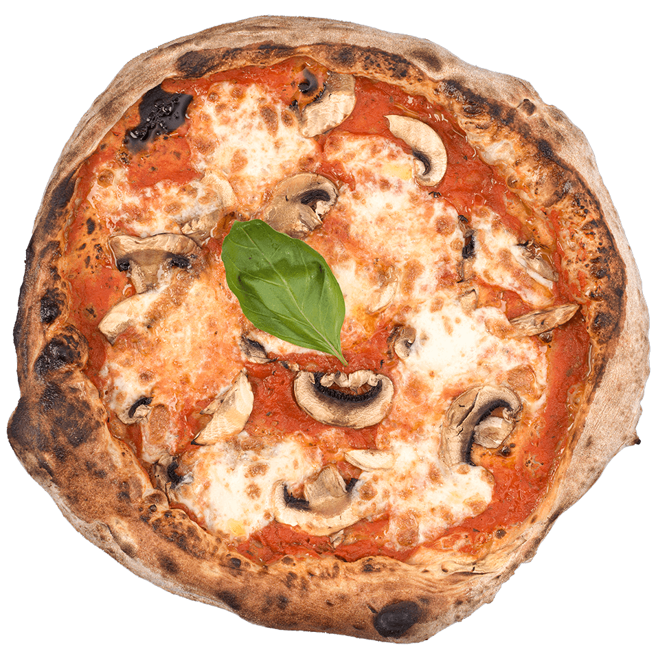 Ottanta